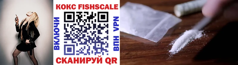 Кокаин Fish Scale  Купить закладки  Кушва 