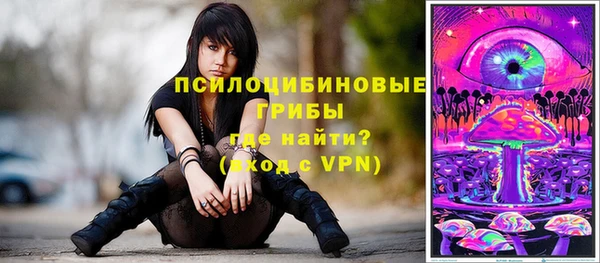 метадон Арсеньев